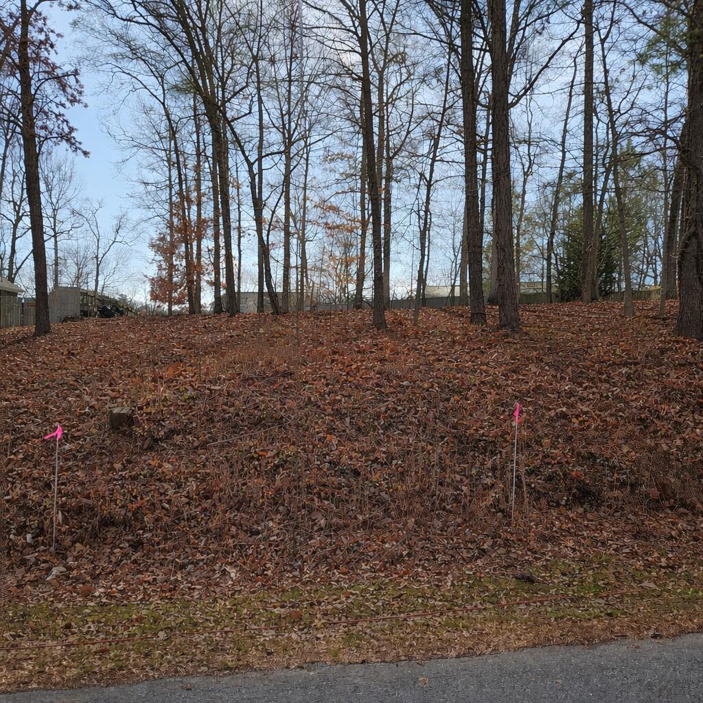 Lot 59 Macgregor Drive Blue Ridge, VA 24064 - Photo 5 of 5 a view of outdoor space with trees