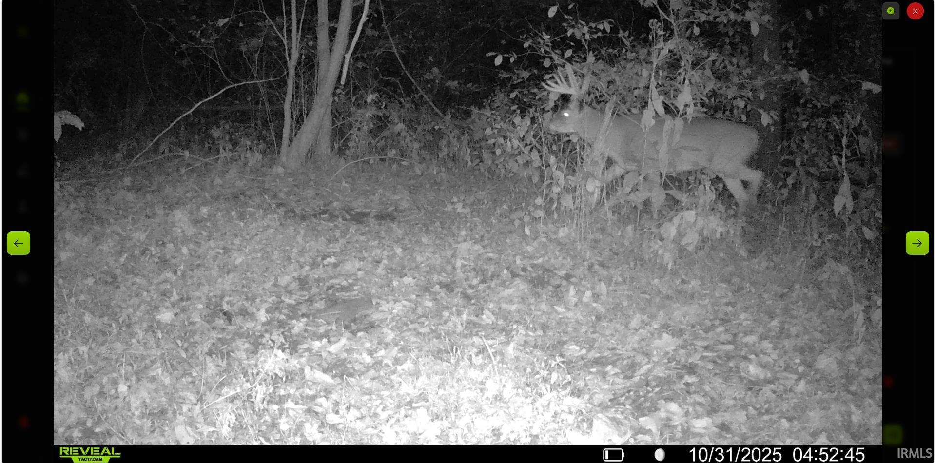 0 North Portersville Road Jasper, IN 47546 - Photo 21 of 23 Gallery Image 21