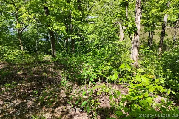 $75,000 | Tract B Tract B Lake, Stover, MO 65078