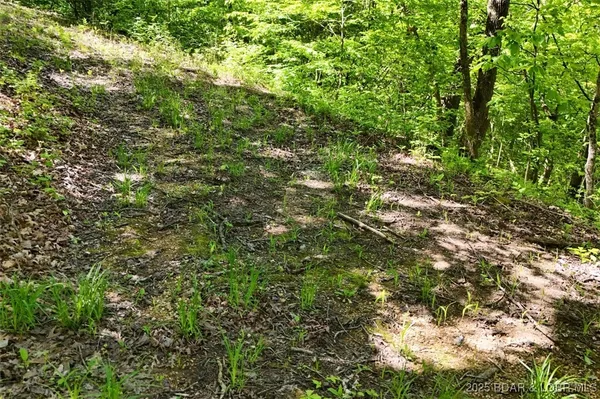 $75,000 | Tract B Tract B Lake, Stover, MO 65078