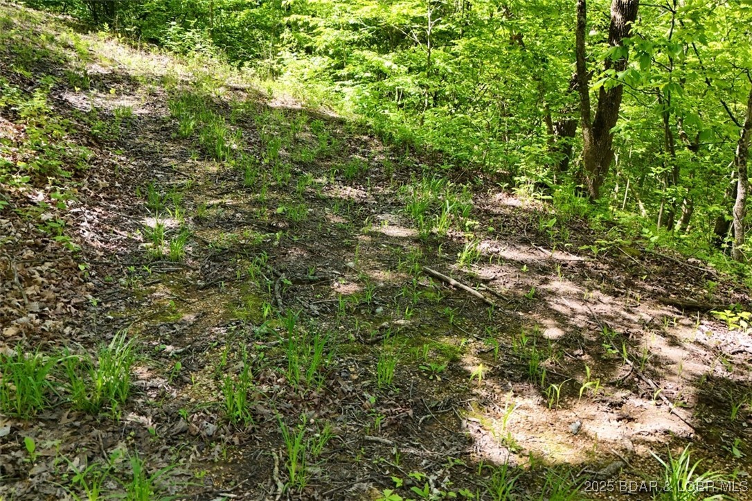 Tract B Tract B Lake Stover, MO 65078 - Photo 12 of 22