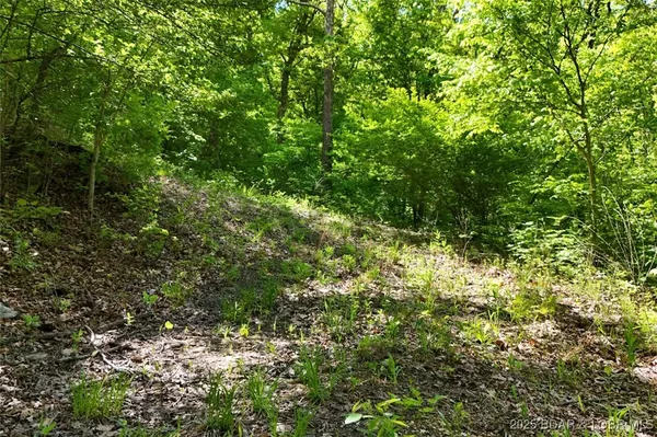 $75,000 | Tract B Tract B Lake, Stover, MO 65078