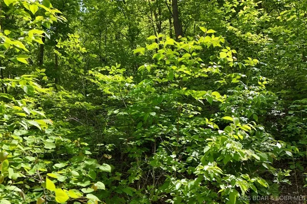 $75,000 | Tract B Tract B Lake, Stover, MO 65078