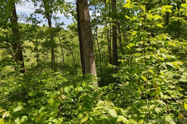 $75,000 | Tract B Tract B Lake, Stover, MO 65078