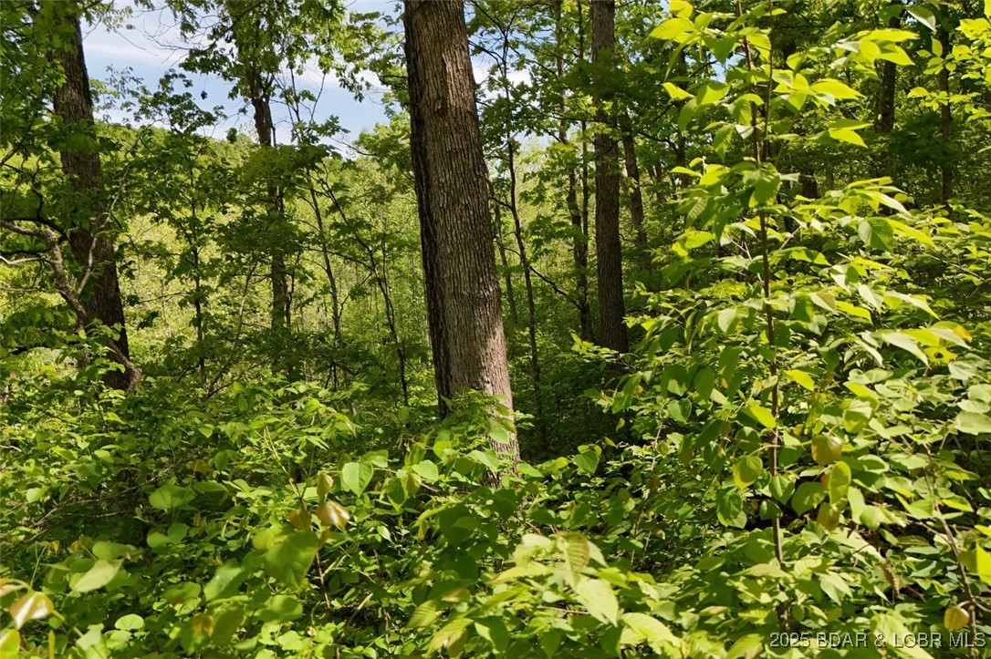 Tract B Tract B Lake Stover, MO 65078 - Photo 15 of 22