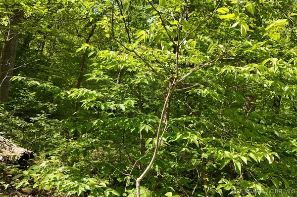 $75,000 | Tract B Tract B Lake, Stover, MO 65078