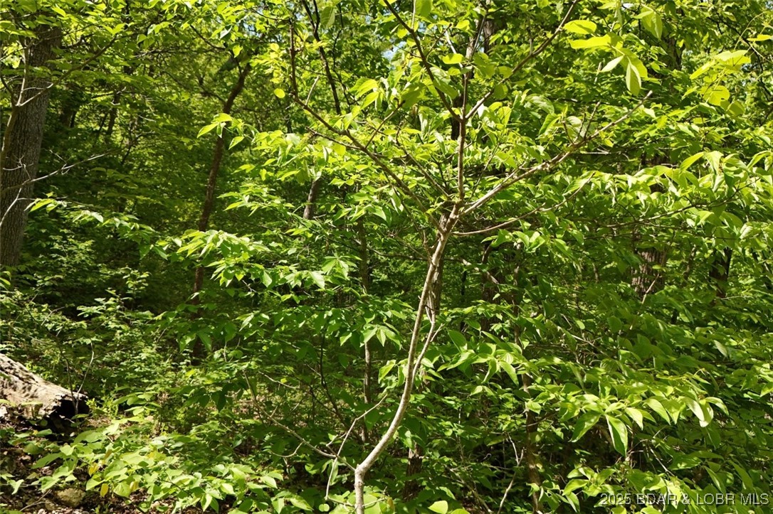 Tract B Tract B Lake Stover, MO 65078 - Photo 16 of 22