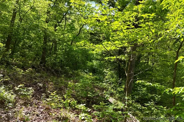 $75,000 | Tract B Tract B Lake, Stover, MO 65078