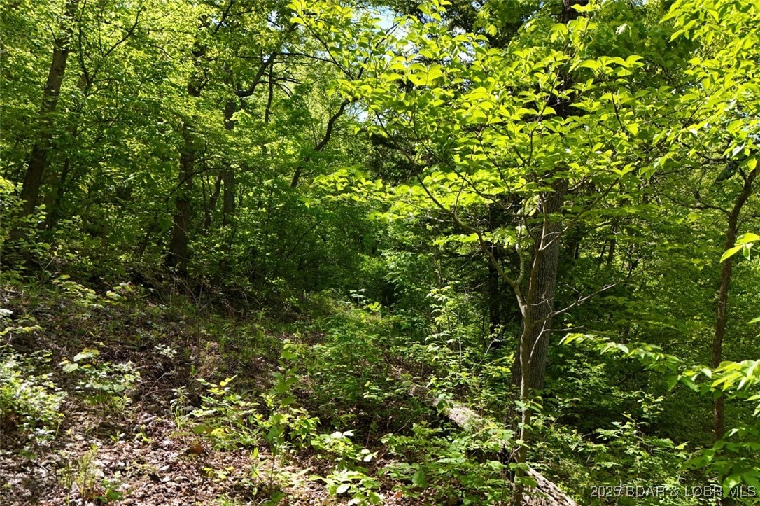 Tract B Tract B Lake Stover, MO 65078 - Photo 17 of 22