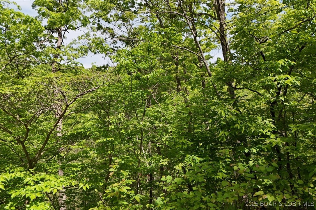 Tract B Tract B Lake Stover, MO 65078 - Photo 18 of 22