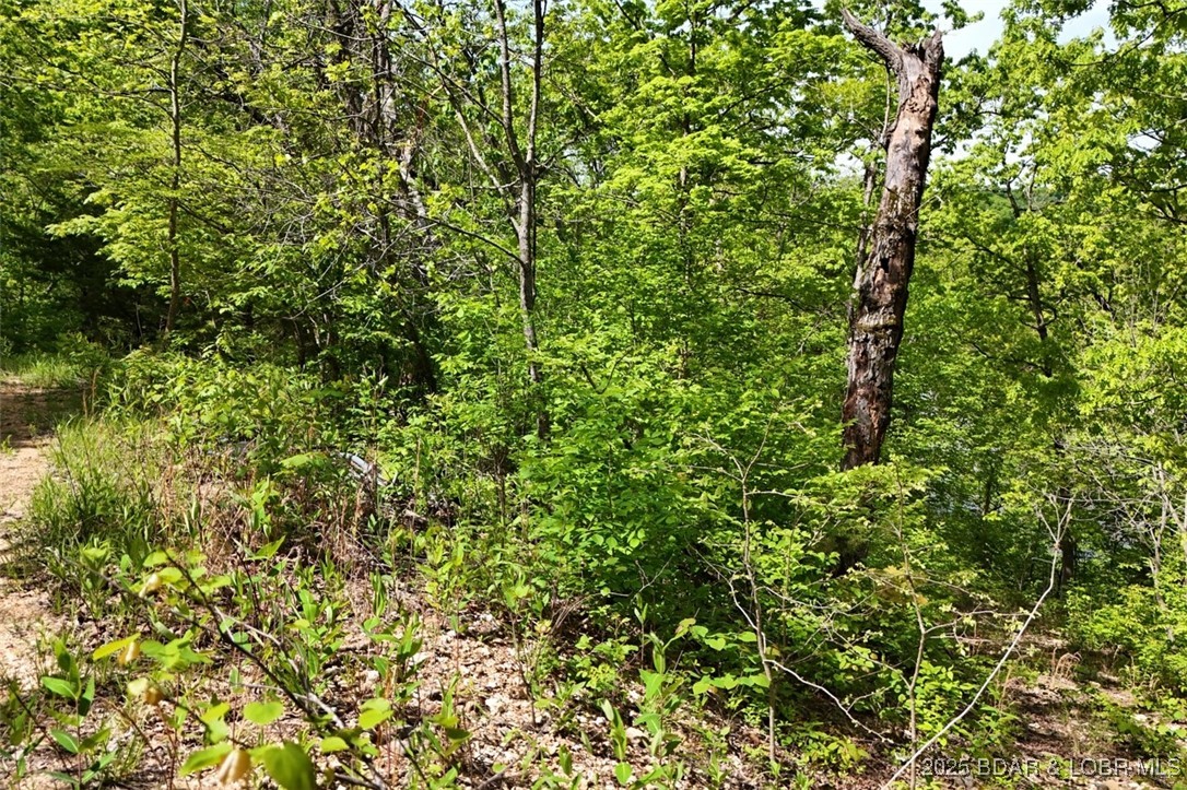 Tract B Tract B Lake Stover, MO 65078 - Photo 19 of 22