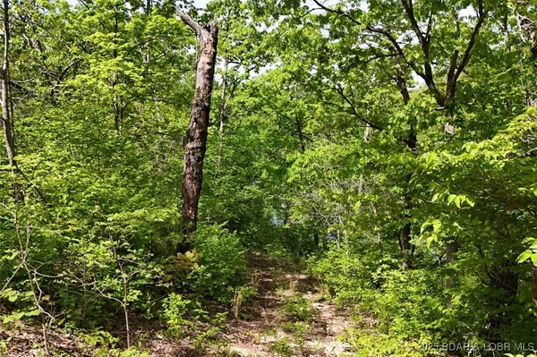 $75,000 | Tract B Tract B Lake, Stover, MO 65078