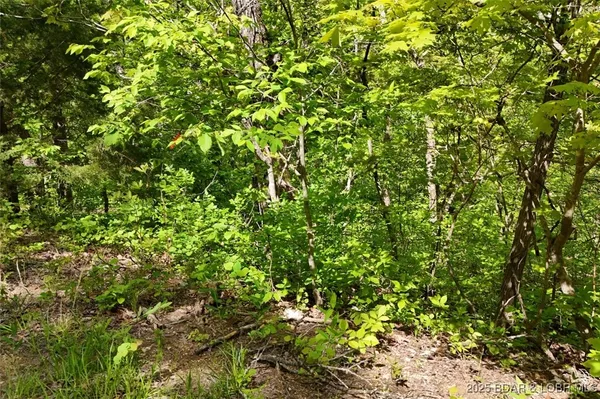 $75,000 | Tract B Tract B Lake, Stover, MO 65078