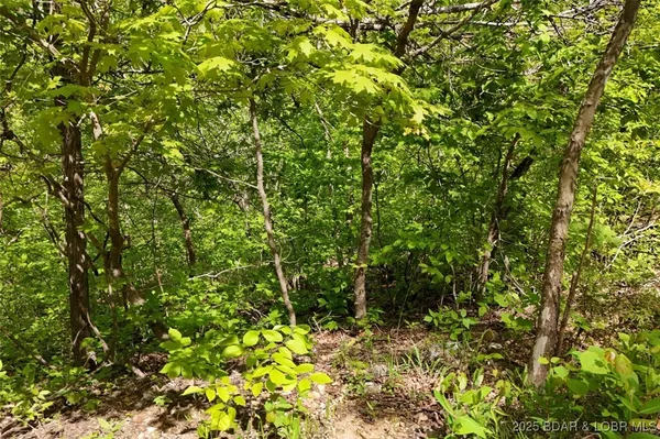 $75,000 | Tract B Tract B Lake, Stover, MO 65078