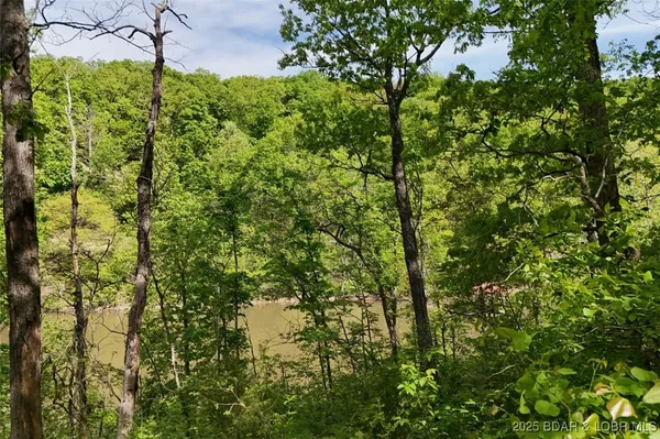 $75,000 | Tract B Tract B Lake, Stover, MO 65078