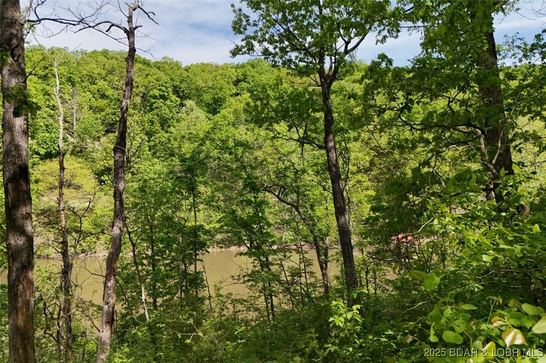 Tract B Tract B Lake Stover, MO 65078 - Photo 3 of 22