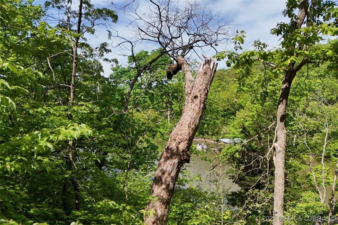 Tract B Tract B Lake Stover, MO 65078 - Photo 4 of 22