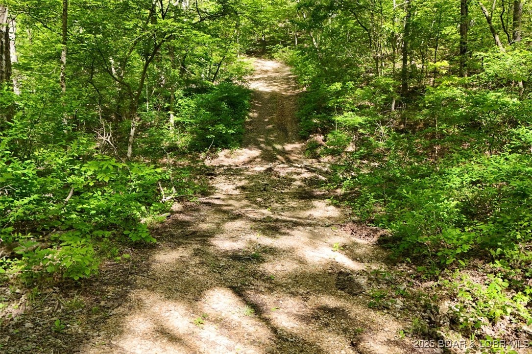 Tract B Tract B Lake Stover, MO 65078 - Photo 5 of 22