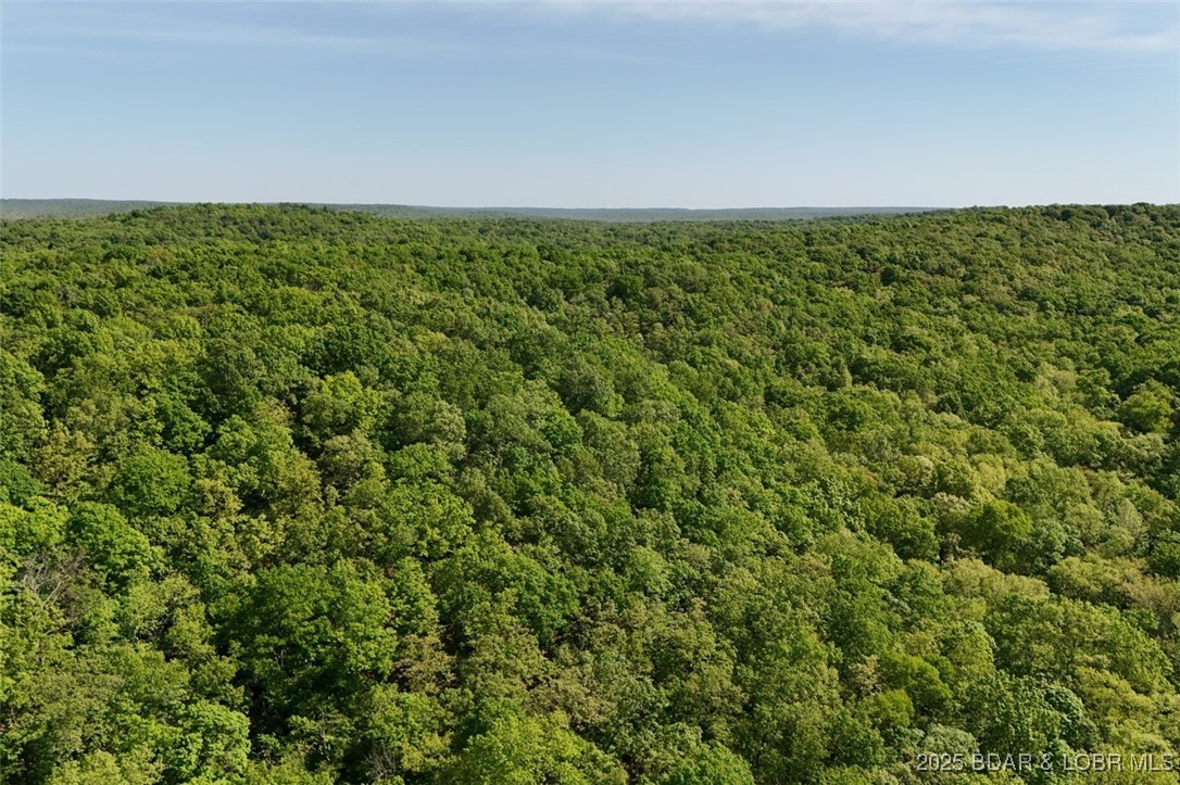 Tract B Tract B Lake Stover, MO 65078 - Photo 6 of 22