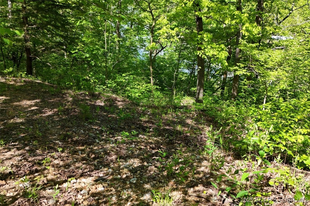 Tract B Tract B Lake Stover, MO 65078 - Photo 7 of 22