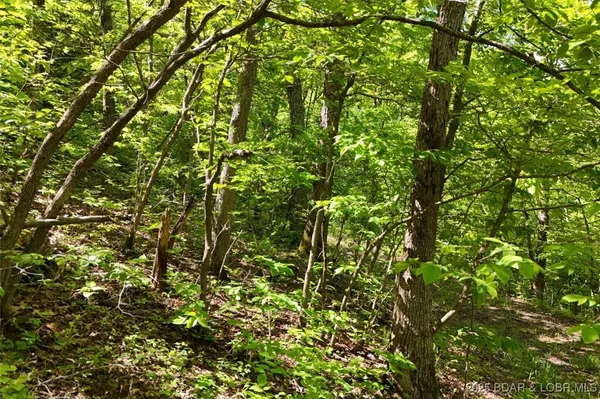 $75,000 | Tract B Tract B Lake, Stover, MO 65078