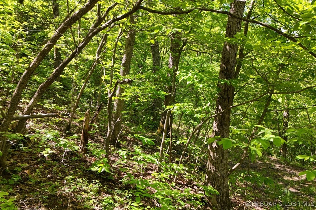 Tract B Tract B Lake Stover, MO 65078 - Photo 8 of 22