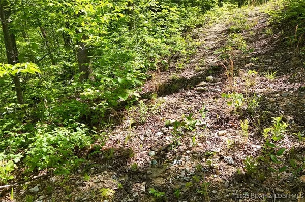 $75,000 | Tract B Tract B Lake, Stover, MO 65078