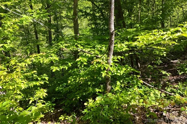 $75,000 | Tract B Tract B Lake, Stover, MO 65078