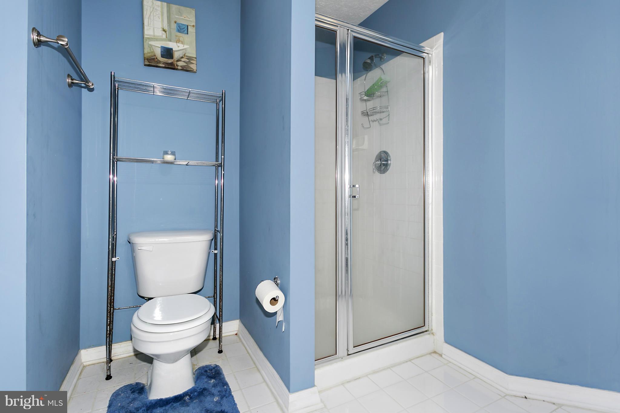 4733 Shellbark Road, Unit 4733 Owings Mills, MD 21117 - Photo 17 of 21 Bath (Master)