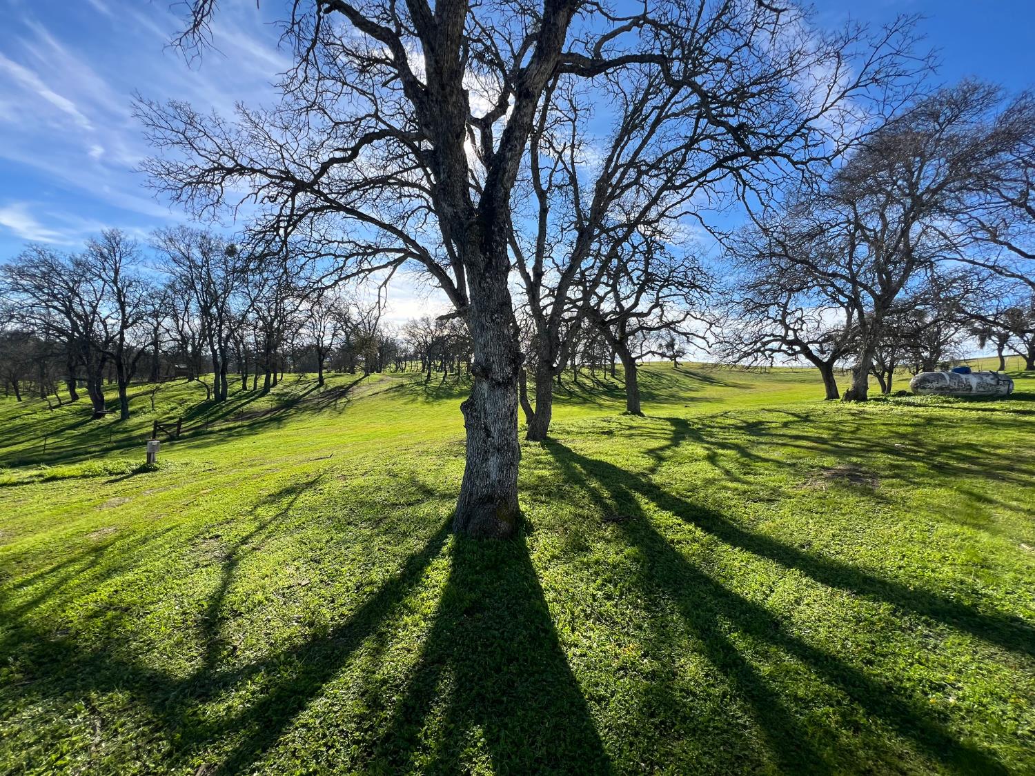 4068 Little John Road Copperopolis, CA 95228 - Photo 2 of 50 a view of an outdoor space with a garden