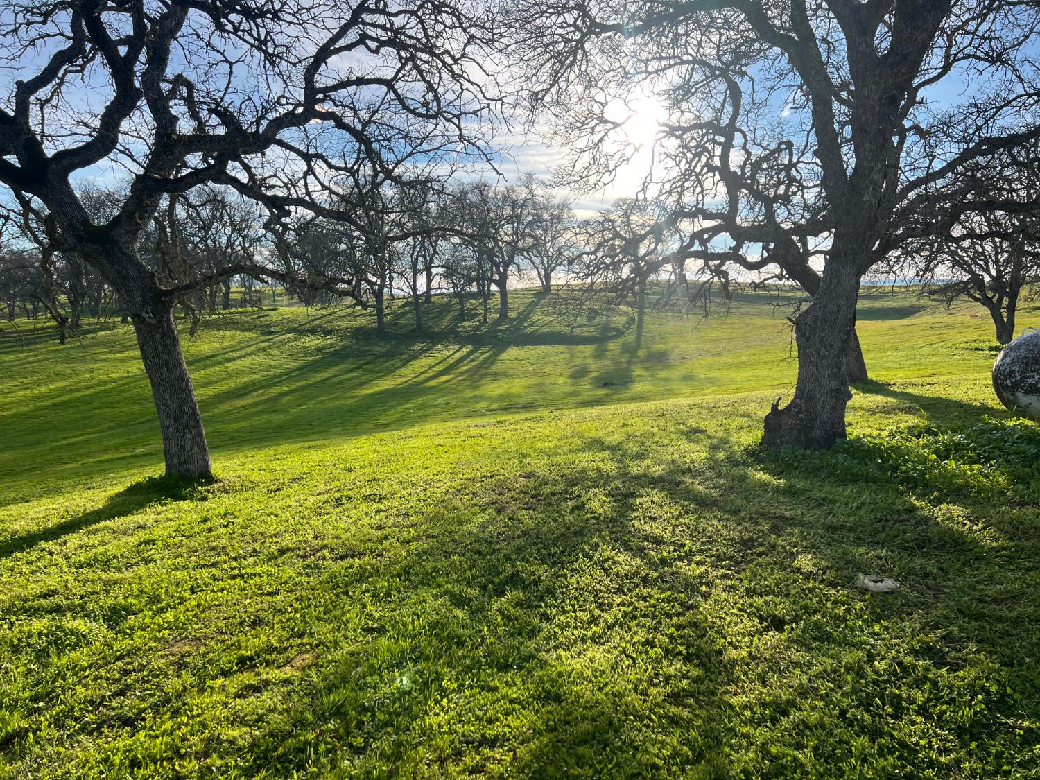 4068 Little John Road Copperopolis, CA 95228 - Photo 3 of 50 a view of a lake with a yard and large trees