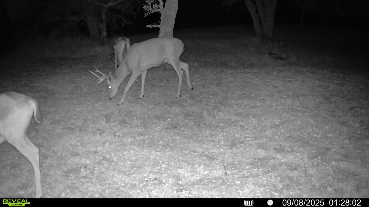 4068 Little John Road Copperopolis, CA 95228 - Photo 49 of 50 a balcony with table and chairs