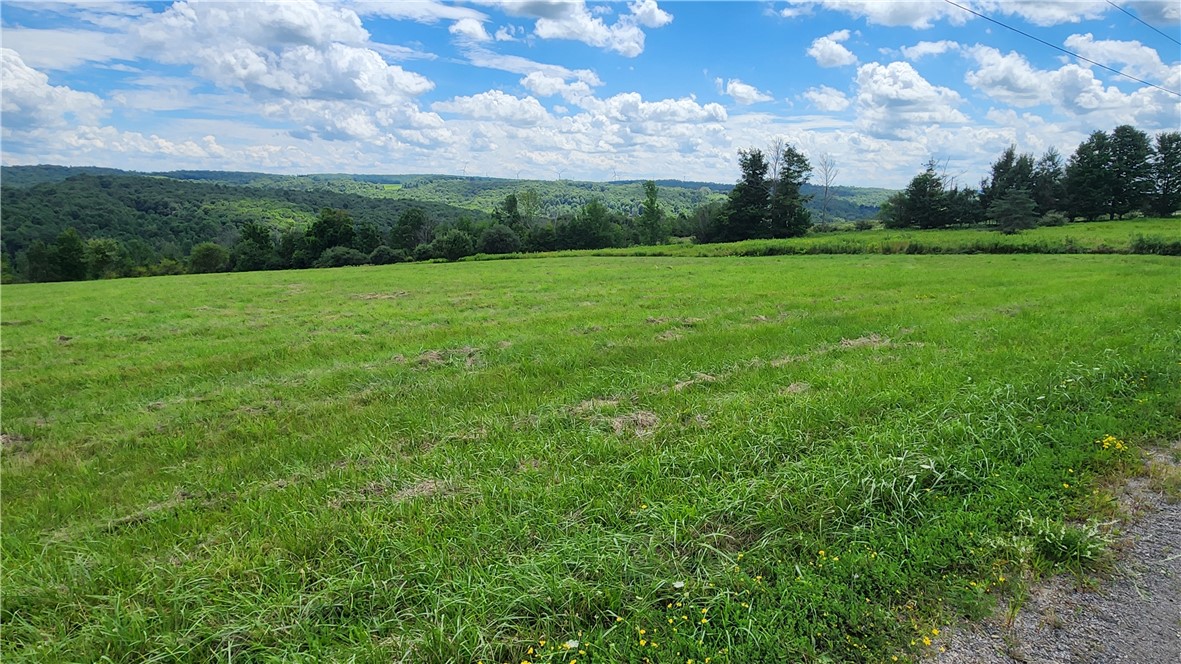 351 Clancy Road Greenwood, NY 14806 - Photo 38 of 50 Gallery Image 38
