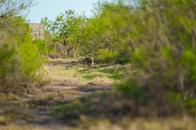 a view of a lake with a yard