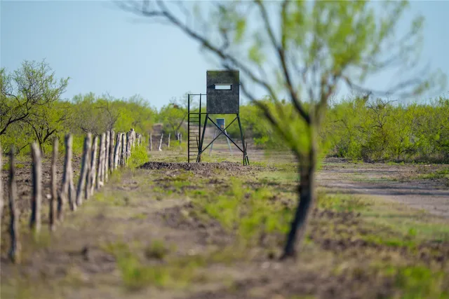 a view of a yard and ocean view