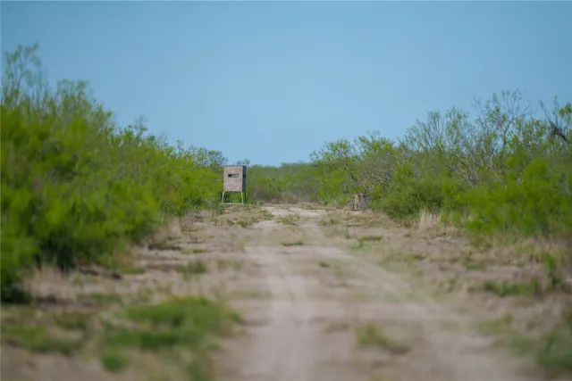a view of a bench in a backyard