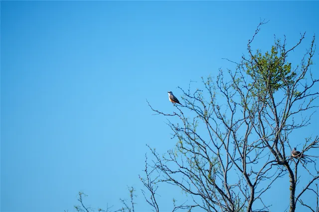 a view of a room with a big yard