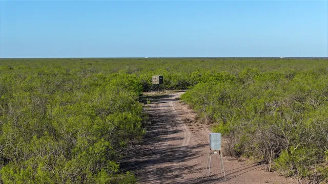 a view of a park with a slide