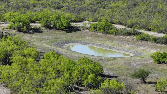 a view of a room with wooden walls and potted plants