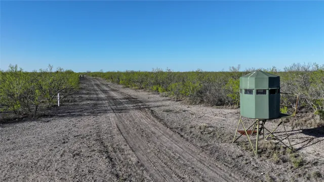 a view of a dry yard