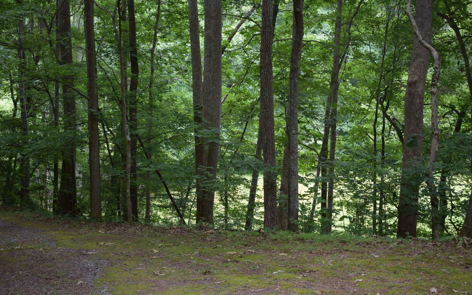 4214 Furman Gribble Road Young Harris, GA 30582 - Photo 3 of 4 Additional View