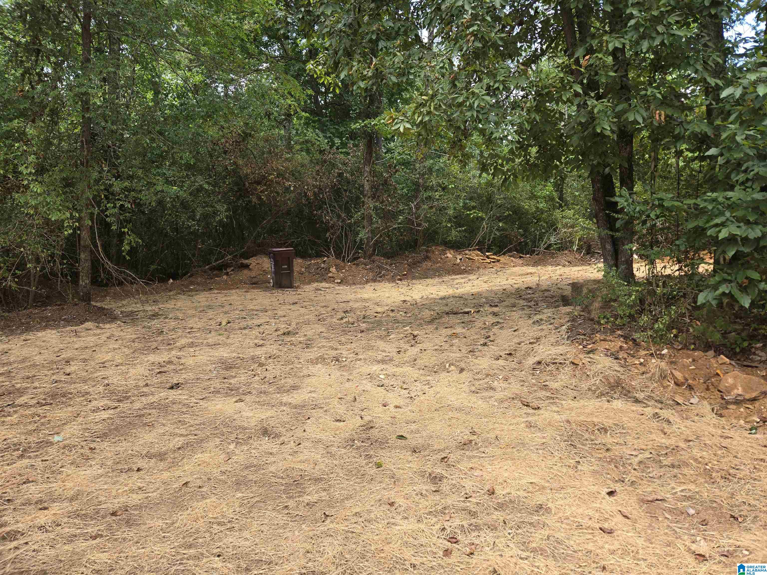 55 Wet Cat Road Hayden, AL 35079 - Photo 19 of 21