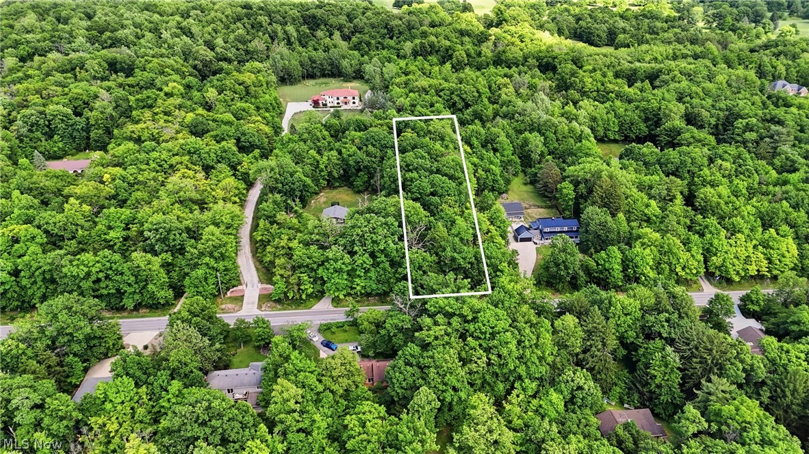 333 River Road Hinckley, OH 44233 - Photo 3 of 5 Wooded lot framed by a white outline, featuring mature trees and lush green foliage