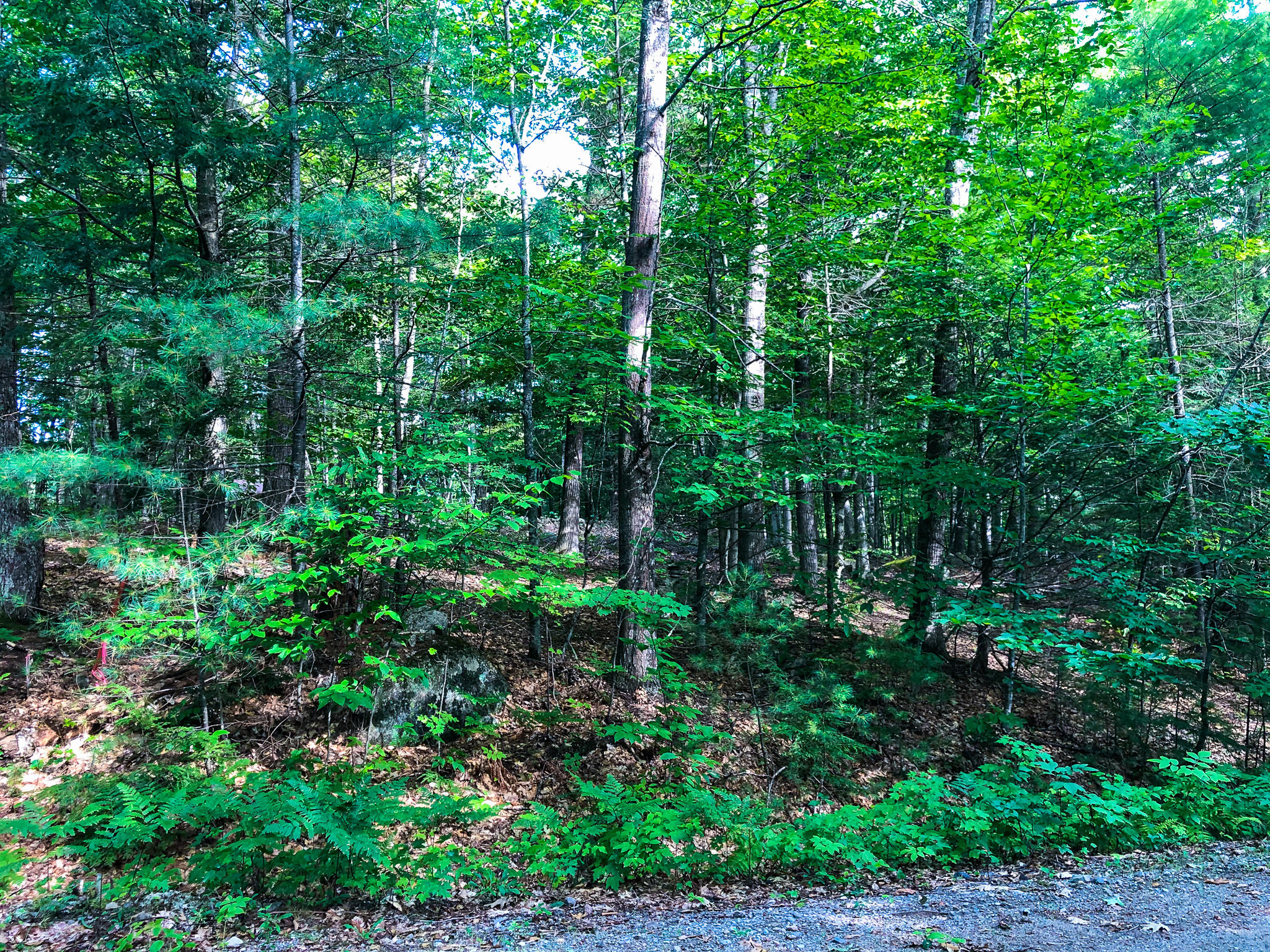 L11-12 Birch Estates Rome, ME 04963 - Photo 17 of 59 IMG_6072