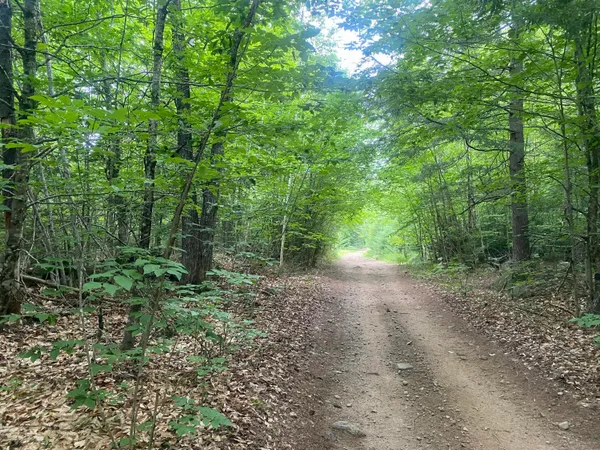 $98,000 | 36-ac Tucker Road, Porter, ME 04068