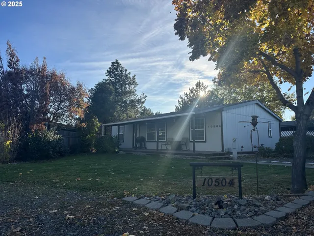 a view of a backyard with plants and large trees