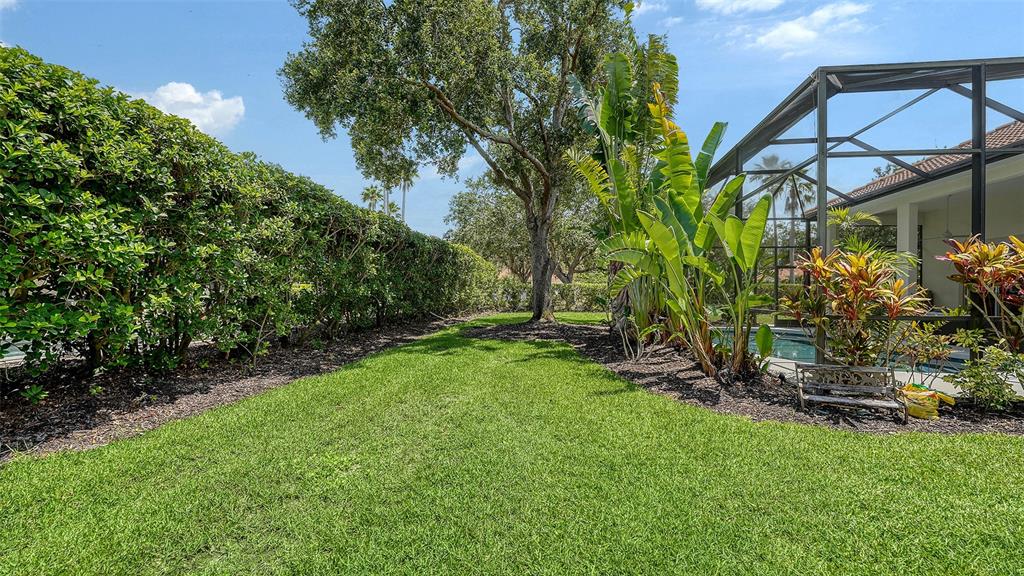 7717 US Open Loop Lakewood Ranch, FL 34202 - Photo 38 of 95 a view of a backyard with plants and a large tree