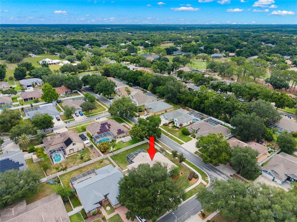 4038 Lithia Ridge Boulevard Valrico, FL 33596 - Photo 35 of 47