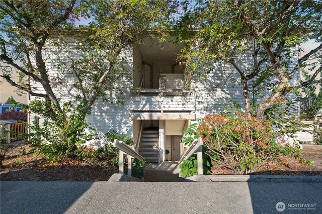 front view of a house with a tree