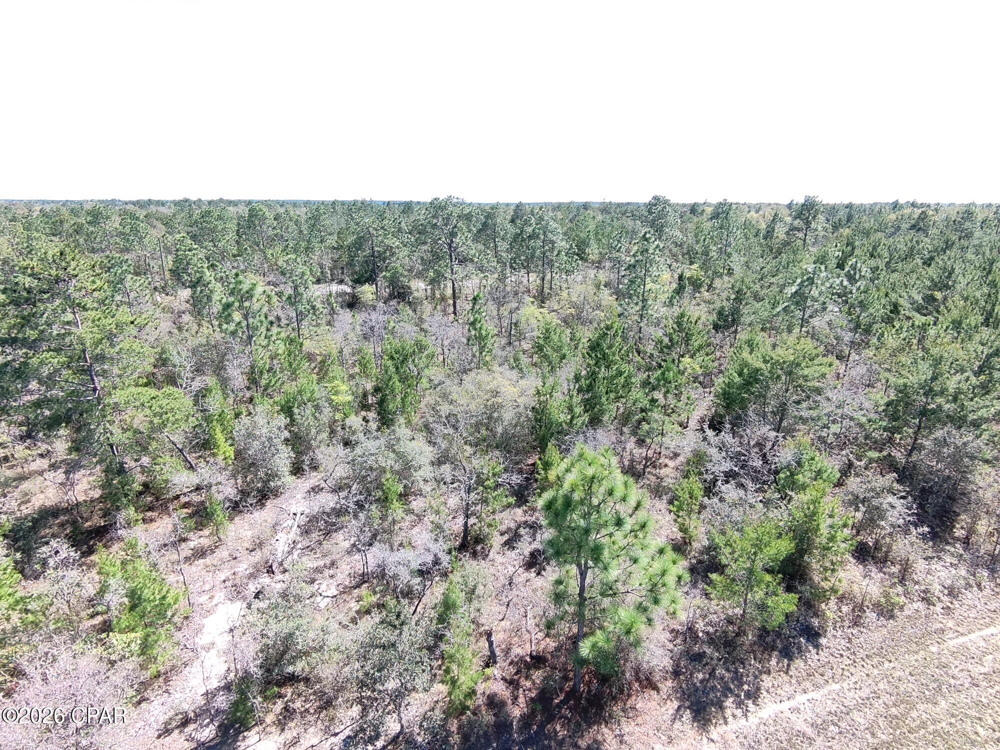 Lot 12 Windmill Street Chipley, FL 32428 - Photo 1 of 5
